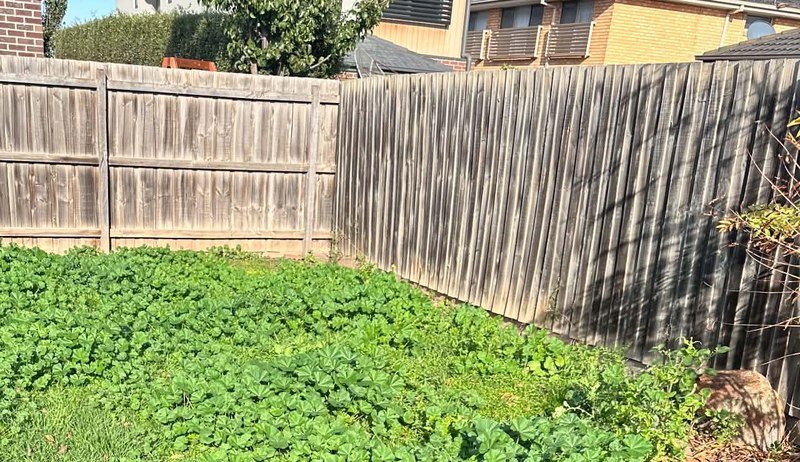 Lawn and garden before gardening work